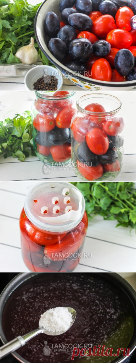 Маринованные помидоры со сливами на зиму — рецепт с фото пошагово