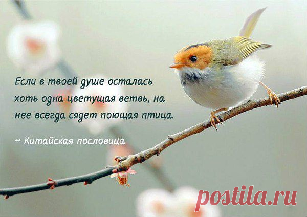 Интересные новости