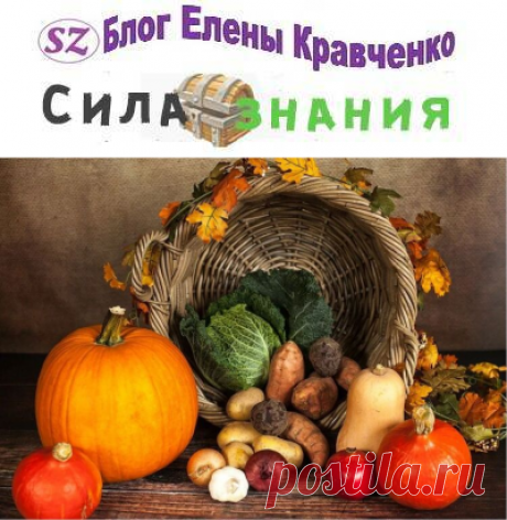 Рождественский пост в 2020 году у православных христиан с питанием по дням