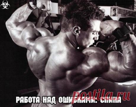 Работа над ошибками: спина / Райская пища