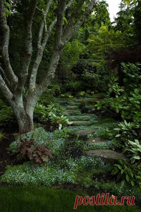 An Ethereal Enchantment