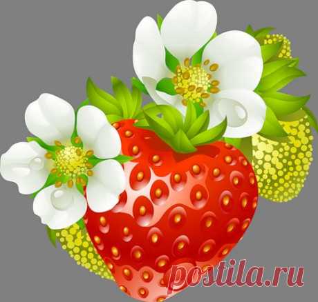 клипарт «дары природы