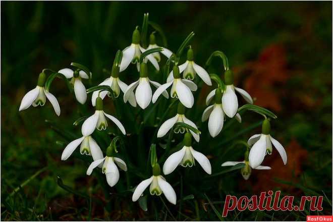 ♥ღ♥Весна на рабочем столе. ч.2♥ღ♥