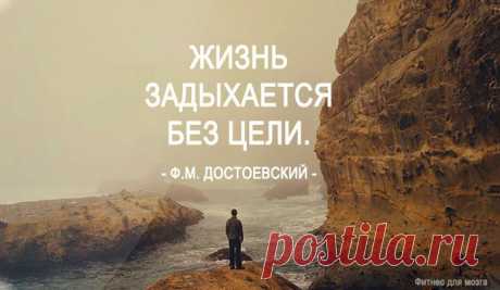 Одной фразой – Фитнес для мозга