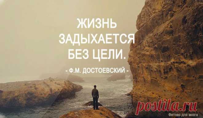 Одной фразой – Фитнес для мозга