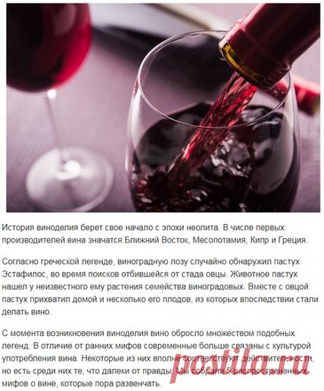 5 мифов о вине, которые пора разрушить! 

История виноделия берет свое начало с эпохи неолита. В числе первых производителей вина значатся Ближний Восток, Месопотамия, Кипр и Греция. 

Согласно греческой легенде, виноградную лозу случайно обнаружил пастух Эстафилос, во время поисков отбившейся от стада овцы. Животное пастух нашел у неизвестного ему растения семейства виноградовых. Вместе с овцой пастух прихватил домой и несколько его плодов, из которых впоследствии стали д...