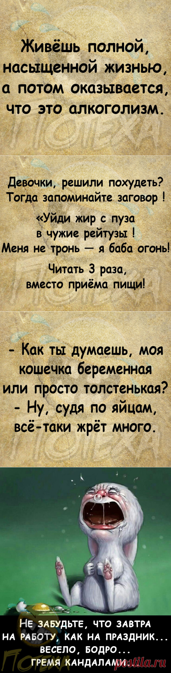 Приколы № 32. | Потеха | Яндекс Дзен
