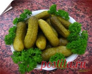 САМЫЕ ВКУСНЫЕ КВАШЕННЫЕ ОГУРЦЫ ИЗ БАНКИ