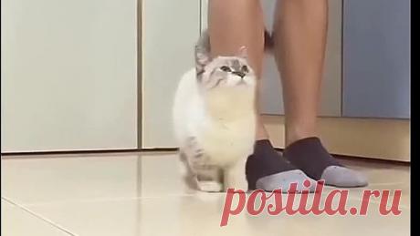 Проблемы коротышек 😁