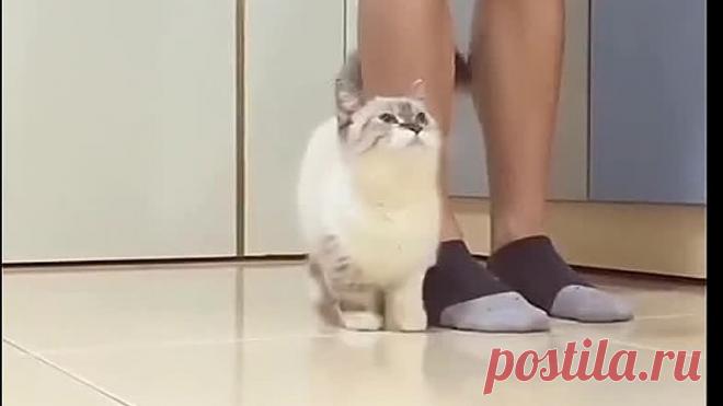 Проблемы коротышек 😁