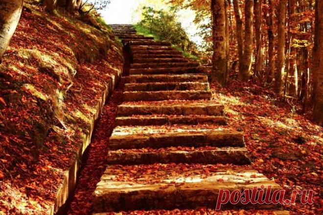 осень фантастически прекрасна