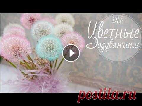 ЦВЕТНЫЕ  ОДУВАНЧИКИ / COLOURED DANDELIONS ЦВЕТНЫЕ ОДУВАНЧИКИ / COLOURED DANDELIONS КАК ПОКРАСИТЬ ОДУВАНЧИКИ? Друзья, это не одуванчики из Чернобыля, а реально цветные, крашеные одуванчики. В э...