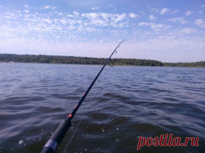 Закон: Особенности правил рыбалки с 2019 года - Фиш Тим Россия