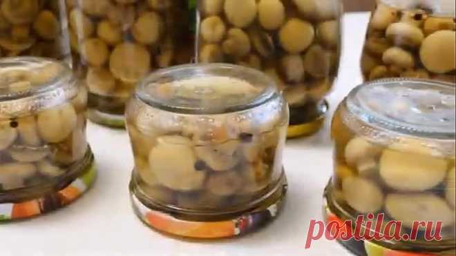 ВСЕГО 2 КГ ГРИБОВ .Обалденные вкусные шампиньоны на зиму!