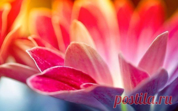 Начните БЛАГОДАРИТЬ, и жизнь станет РАДОСТНЕЙ