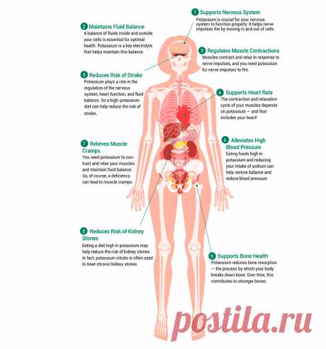 Дефицит калия. Симптомы Для чего нужны электролиты в организме? Эти элементы помогают проводить электричество. Калий — элемент, который играет важную роль для здоровья человека. Энергия, которая управляет метаболизмом, связана именно с калием. Он регулирует обмен нутриентов глюкозы, аминокислот, макро- и микроэлементов и их транспортировку между клетками.