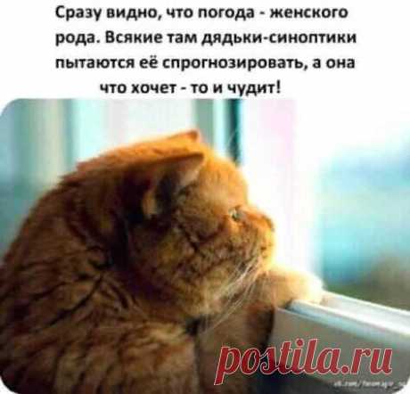 Улыбнись