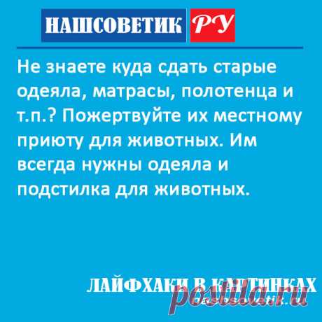 Куда сдать старые одеяла и матрасы? Берём на заметку. Не выбрасывайте эти вещи. Им можно найти гораздо лучшее применение!