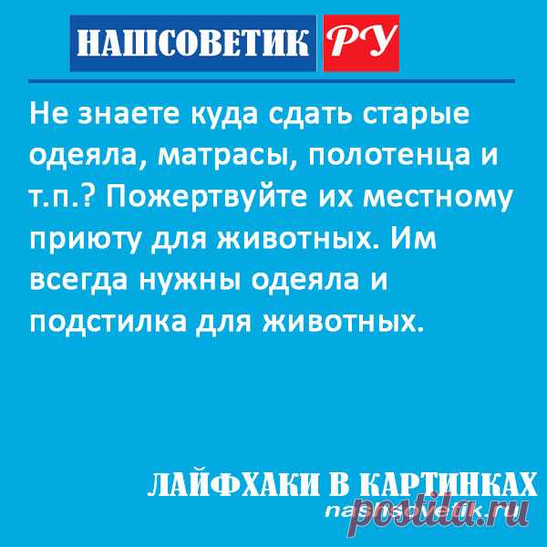 Куда сдать старые одеяла и матрасы? Берём на заметку. Не выбрасывайте эти вещи. Им можно найти гораздо лучшее применение!