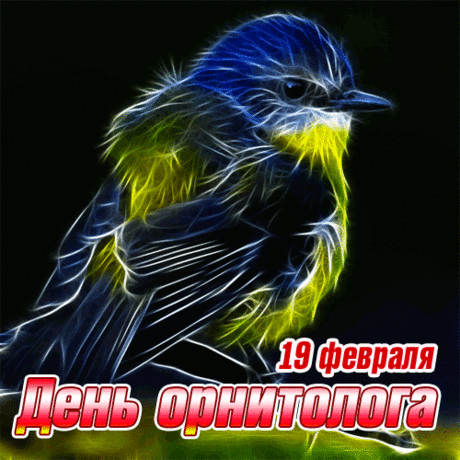 В День орнитолога добра
И жизни продолжения.
Работу делайте свою
С любовью, вдохновением! Открытки на День орнитолога!