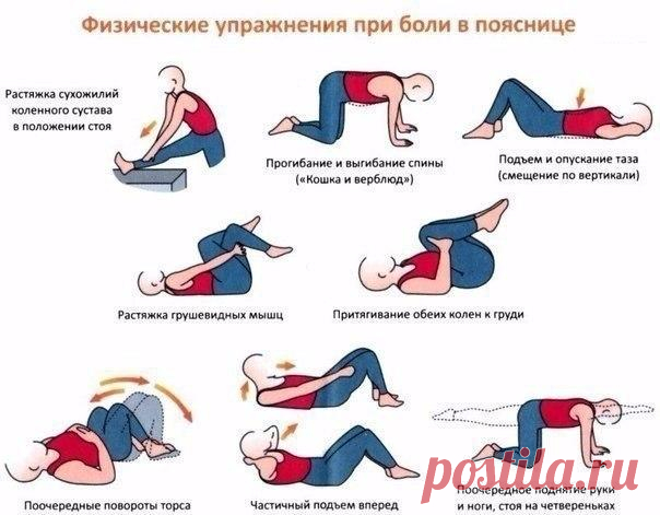 Чтобы поясница и спина не болели