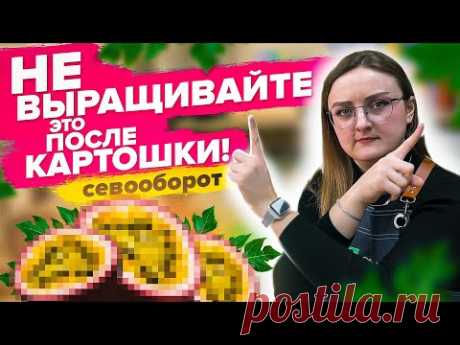 КАК СПЛАНИРОВАТЬ ПОСАДКИ? Севооборот