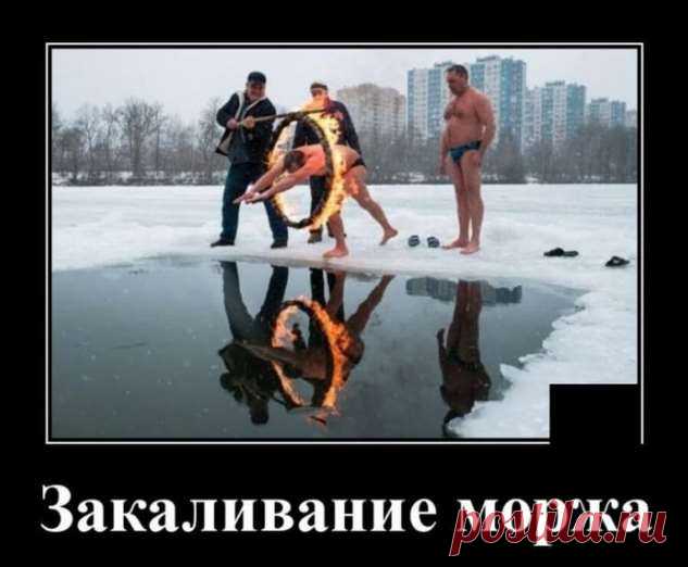 Демотиваторы: с добрым утром, друзья! (43 демотиватора) . Тут забавно !!!