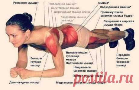 Самое лучшее и простое упражнение для пресса  Планка
