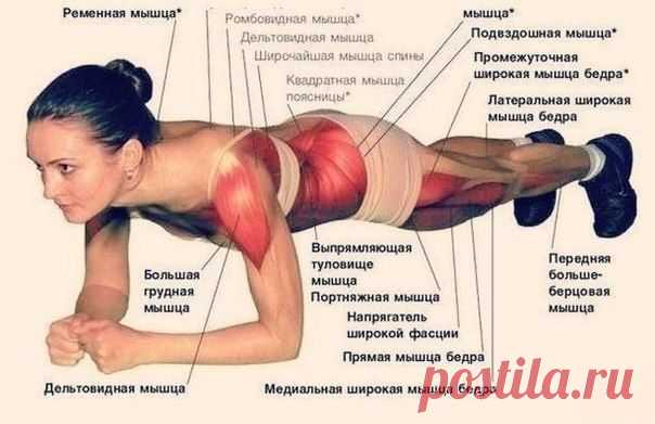 Самое лучшее и простое упражнение для пресса  Планка 🔷 / Абсолютное здоровье