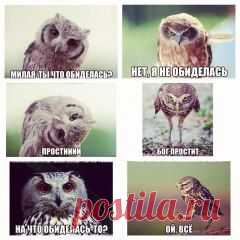 Одноклассники