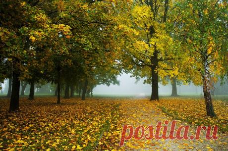 Autumn remembrance