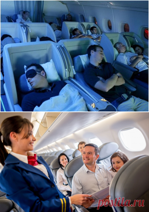 Какой он – идеальный авиапассажир? Мнение стюардесс и мое личное | Соло-путешествия | Яндекс Дзен