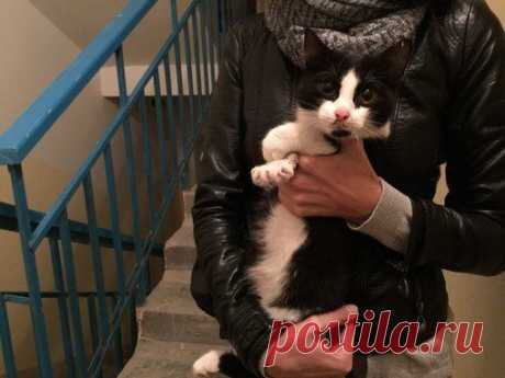 Максим Калужский