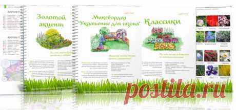 Получите бесплатно 3 цветника из Коллекции, и преобразите свой участок.