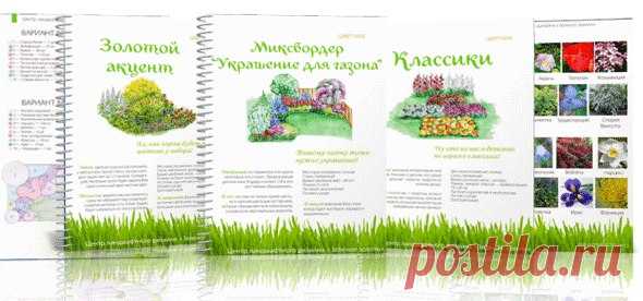 Получите бесплатно 3 цветника из Коллекции, и преобразите свой участок.