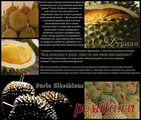 Плейкаст «Дуриан - безотказный афродизиак»