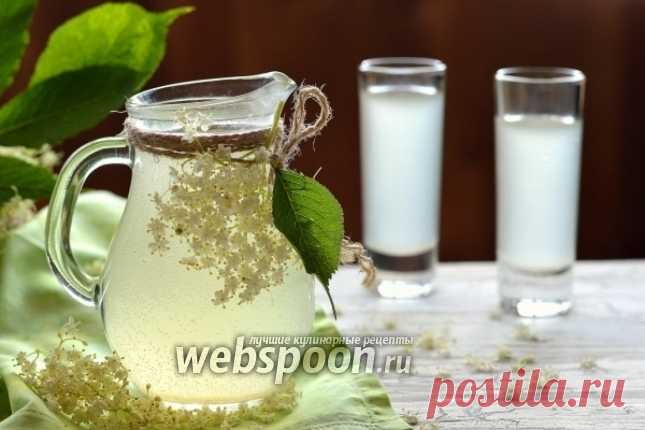 Квас из цветов бузины рецепт с фото, как приготовить на Webspoon.ru