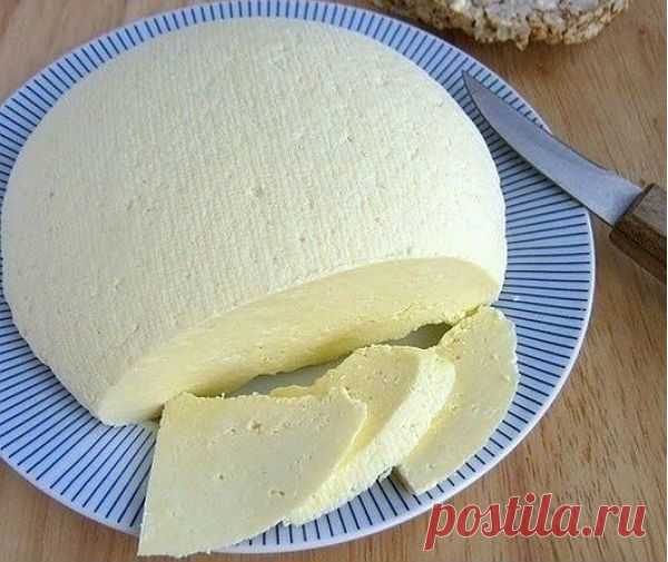 Как сварить сыр в домашних условиях из молока