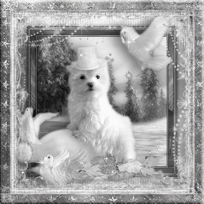 Анимация собак - clipartis Jimdo-Page! Скачать бесплатно фото, картинки, обои, рисунки, иконки, клипарты, шаблоны, открытки, анимашки, рамки, орнаменты, бэкграунды