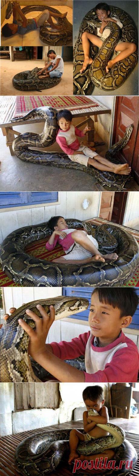 (+1) тема - Просто невероятная дружба!... | НАУКА И ЖИЗНЬ