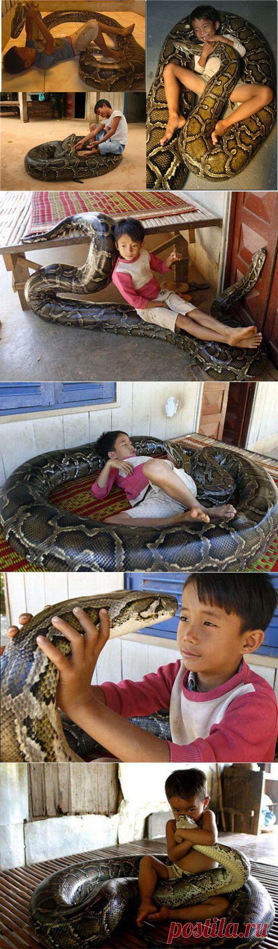 (+1) тема - Просто невероятная дружба!... | НАУКА И ЖИЗНЬ