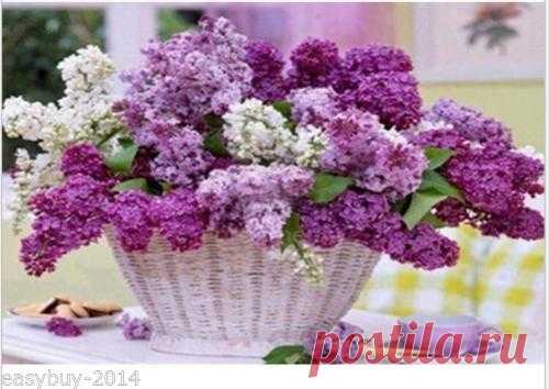 3D Diamond Embroidery 5D Diamond DIY Painting Cross Stitch Flowers | eBay