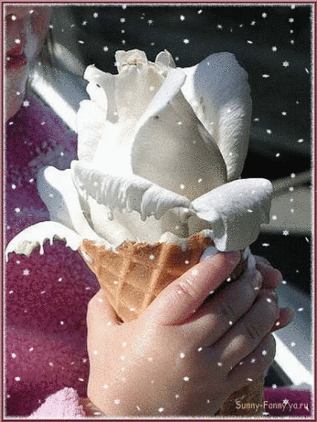 Живые фотографии – Сообщество – Google+