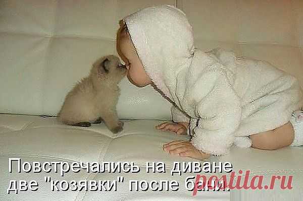 два красавца