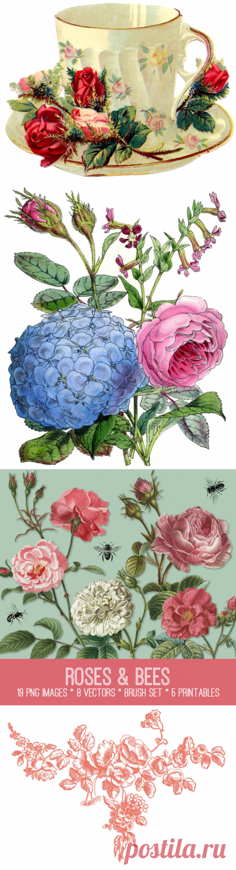 10 Бесплатные Старинные Розы Изображения-Великолепный! - Графика Сказочная