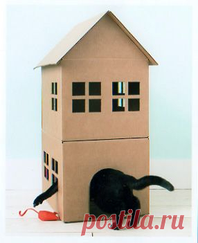 Дом для кошки из картонных коробок делаем сами - Для животных