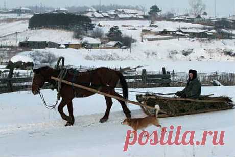 (1) Одноклассники