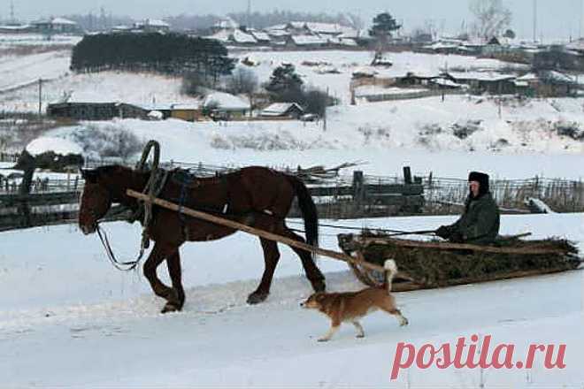 (1) Одноклассники