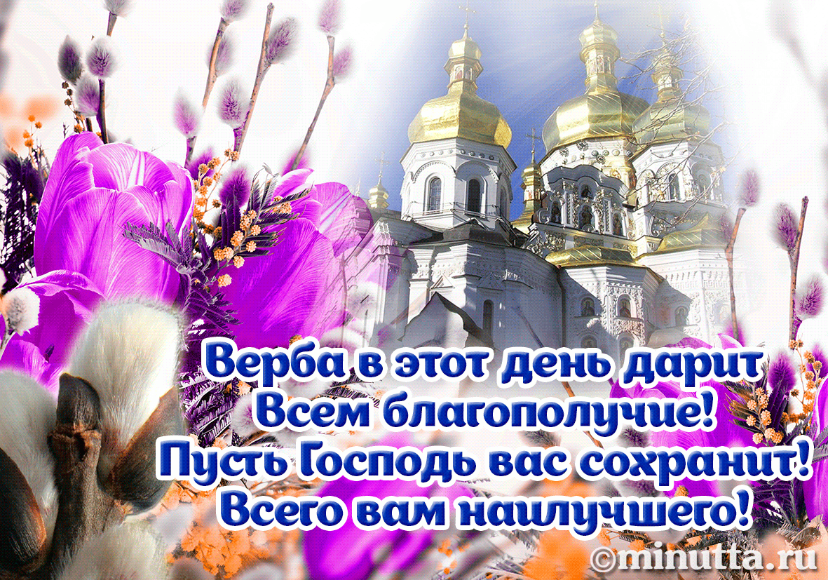 Открытки бесплатно | Минутта