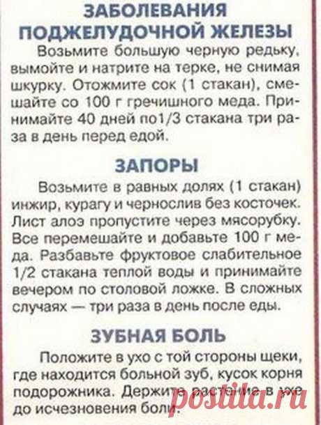 Полезные советы
